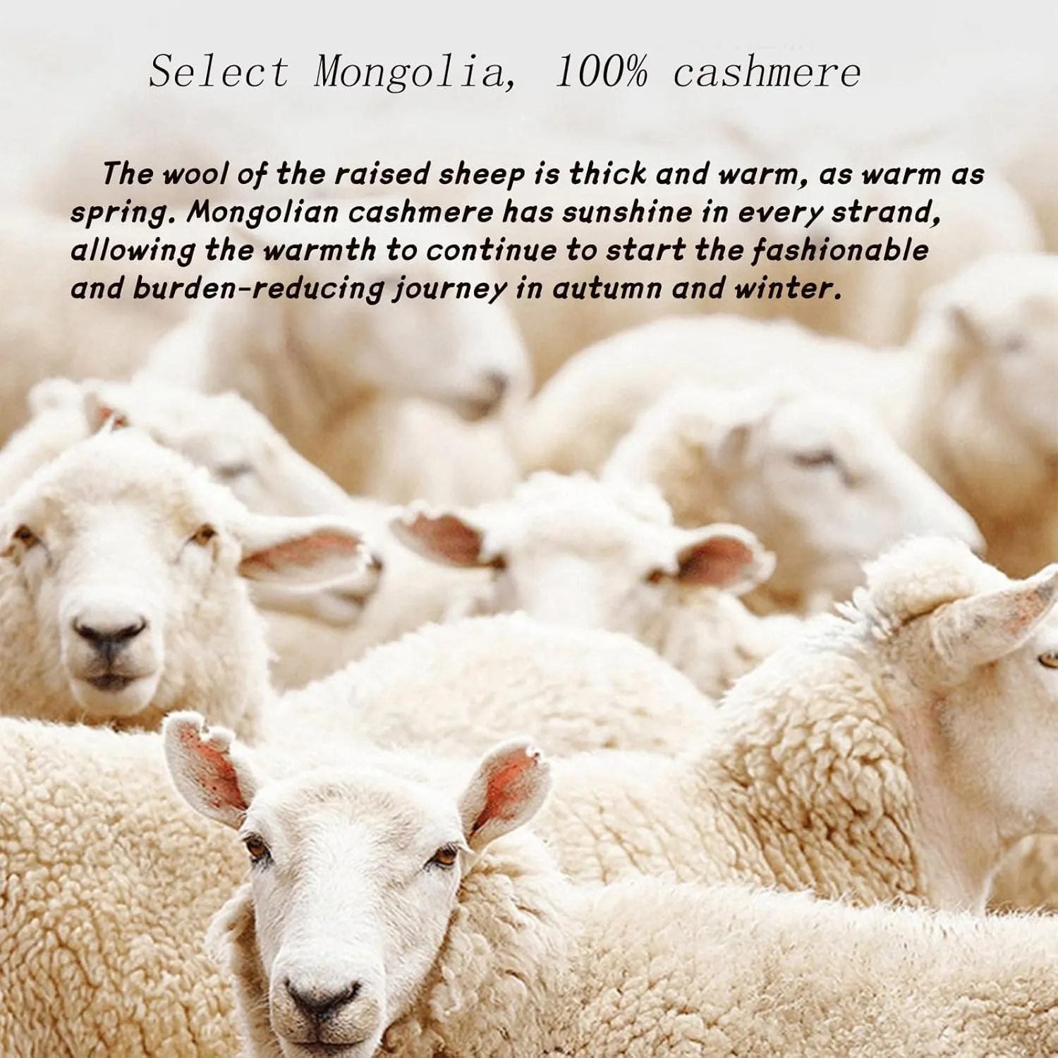 Womens Cashmere Sweaters: Cashmere Sweaters for Women, 100% Cashmere Soft V Neck Warm Luxurious Lightweight Long Sleeve